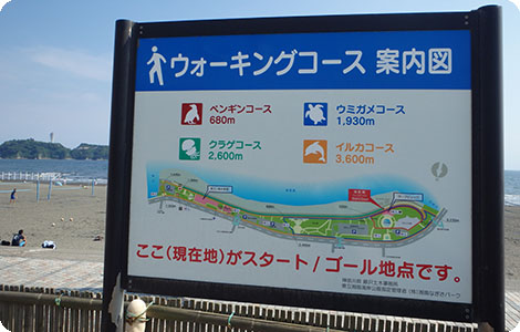 縣立湘南海岸公園 散步路線