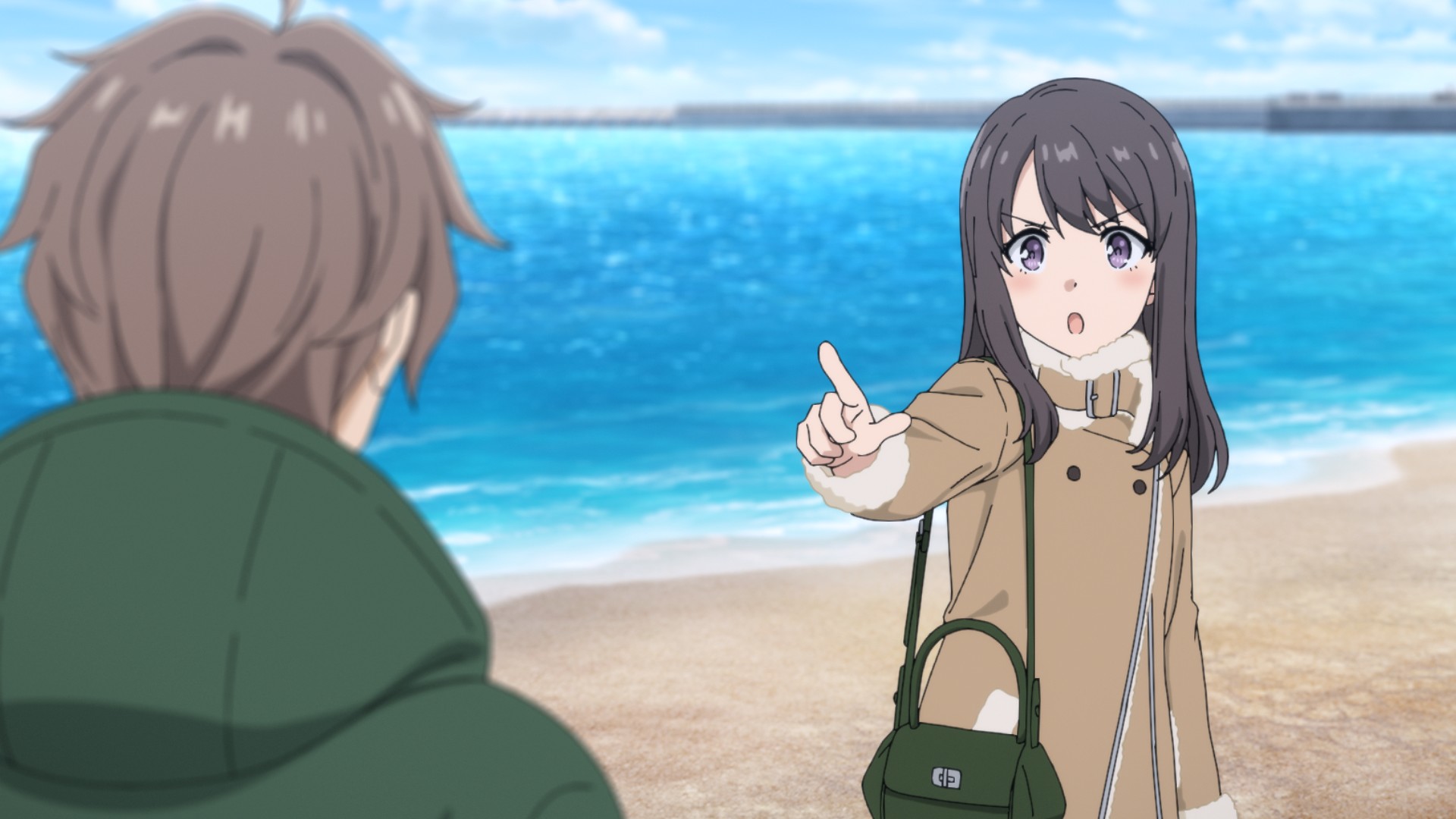Shichirigahama Beach featured in the series